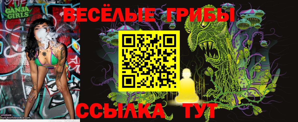 Псилоцибиновые грибы прущие грибы Петропавловск-Камчатский