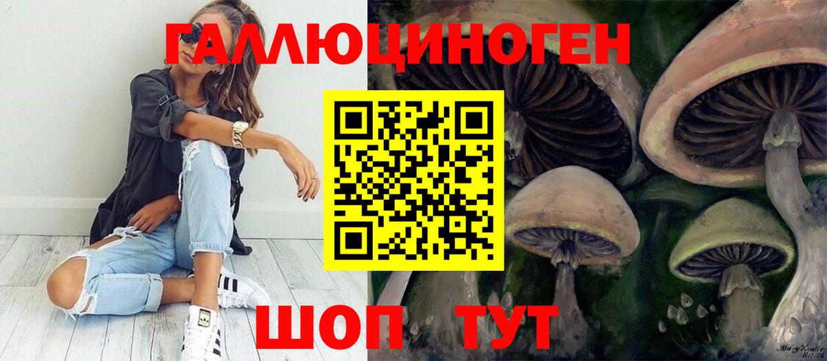 Петропавловск-Камчатский  Галлюциногенные грибы прущие грибы  Вход с VPN 